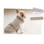 Pretty Pet Drawstring Waist Jacket Beige